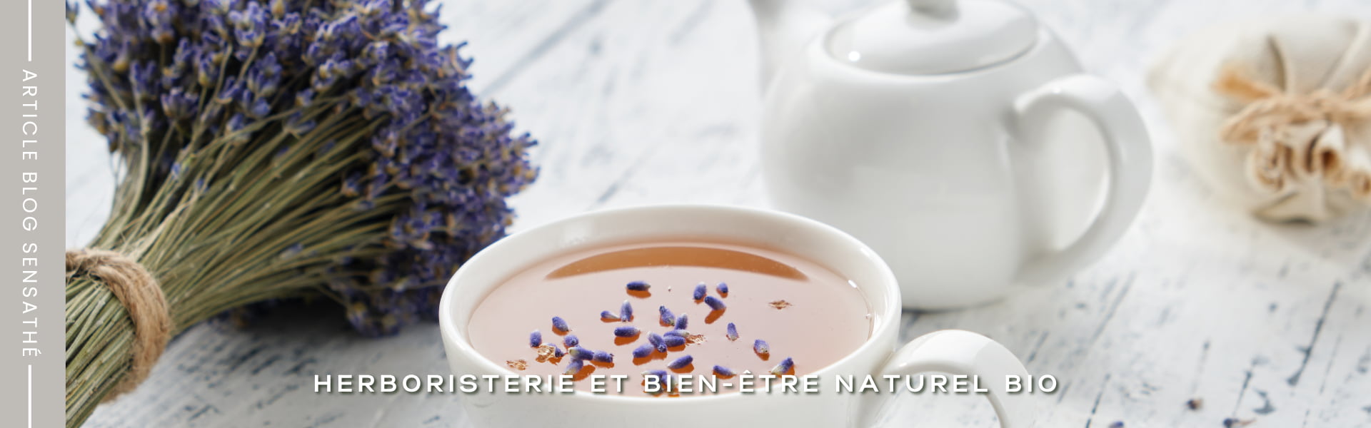 La lavande, antispasmodique naturel puissant -  Herboristerie Sensathé
